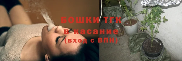 амф Болотное