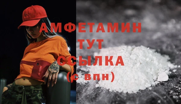 ГАЛЛЮЦИНОГЕННЫЕ ГРИБЫ Осташков