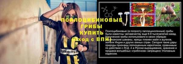 мдма Осинники