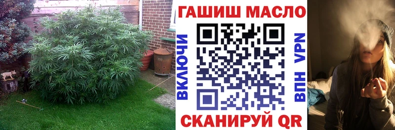 ТГК концентрат  Нахабино 